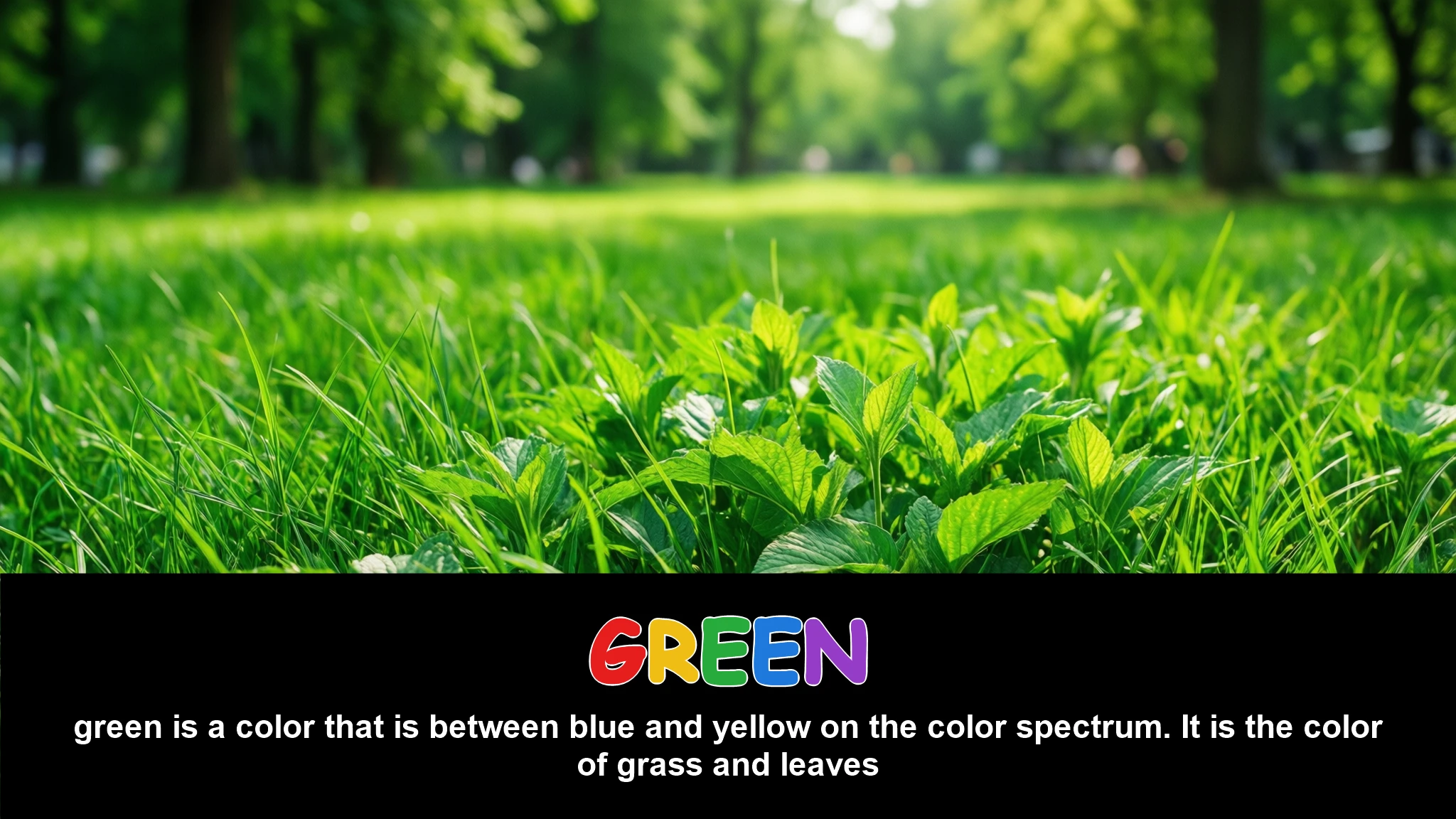 English Illustration for green